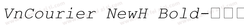 VnCourier NewH Bold字体转换